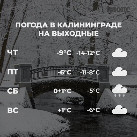 Синоптики рассказали о погоде в Калининграде на выходные - Новости Калининграда