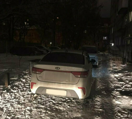 Для тех, кто два дня не читал новости на "Клопс": что произошло в Калининграде и стране в выходные - Новости Калининграда | Фото: пресс-служба УМВД России по Калининградской области