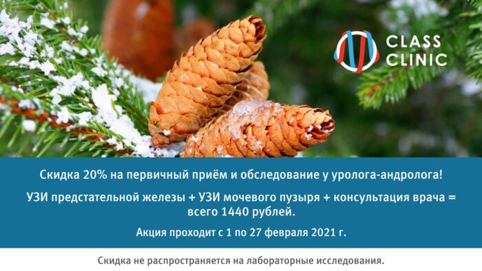 Консультация уролога-андролога экспертного уровня и 2 УЗИ за 1440 рублей - Новости Калининграда