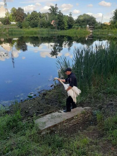 В горящую избу, в ледяную воду: как жители Калининградской области спасали людей и животных - Новости Калининграда | Фото: предоставлено читателями &quot;Клопс&quot;