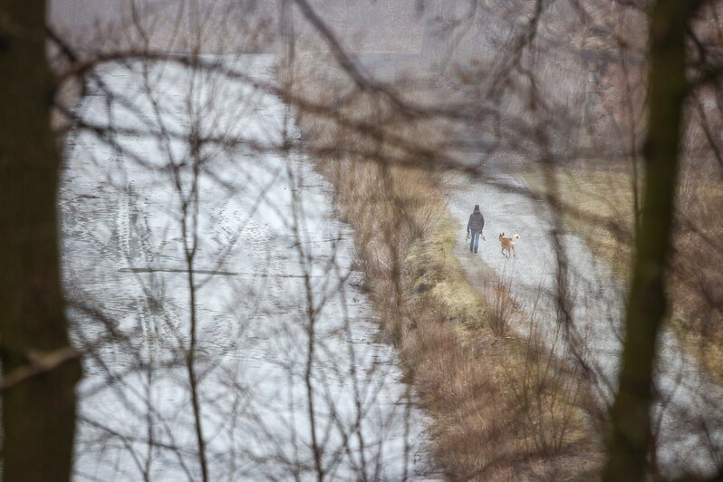 Фото дня: туман в первый день весны - Новости Калининграда | Александр Подгорчук / &quot;Клопс&quot;