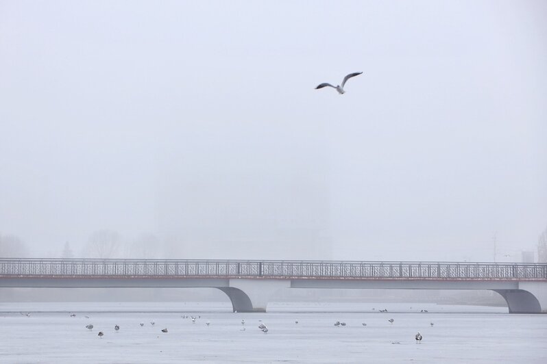 Фото дня: туман в первый день весны - Новости Калининграда | Александр Подгорчук / &quot;Клопс&quot;