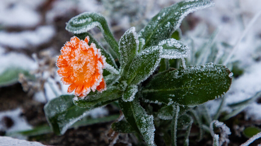 Гидрометцентр прогнозирует опасную для россиян погоду в марте - Новости Калининграда | Фото: архив "Клопс"