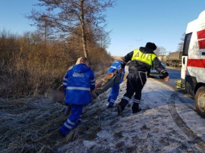 На выезде из Светлого найден полураздетый калининградец - Новости Калининграда | Фото: Екатерина Преснякова