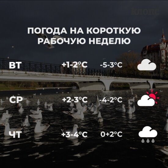 Синоптики рассказали о погоде в Калининграде на короткую рабочую неделю - Новости Калининграда