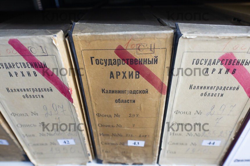 &quot;Мой дорогой Эрих, я так сильно тоскую по тебе&quot;: какие тайны хранит калининградский архив - Новости Калининграда | Фото: Александр Подгорчук / &quot;Клопс&quot;