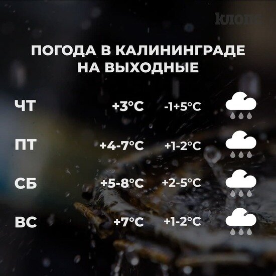 Синоптики рассказали о погоде в Калининграде на выходные - Новости Калининграда