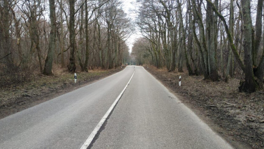 Задел боковым зеркалом: на Куршской косе автомобиль наехал на женщину и скрылся - Новости Калининграда | Фото: пресс-служба регионального УМВД