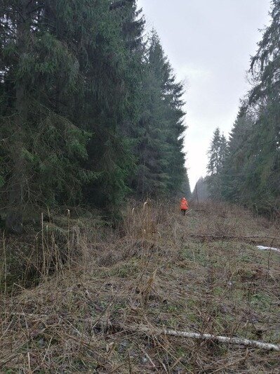 Поиски Ольги Смирновой | Фото предоставлены ПСО "Запад"