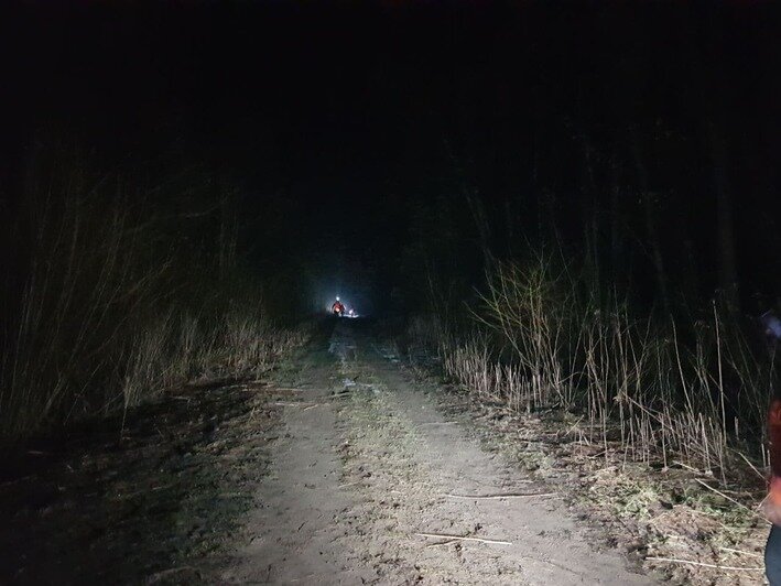  В лесу Полесского района нашли вещи пропавшей трое суток назад пенсионерки  - Новости Калининграда | Фото предоставлены ПСО "Запад"