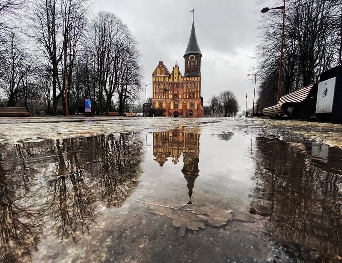 Фото дня: дождливый Калининград - Новости Калининграда | Александр Подгорчук / &quot;Клопс&quot;