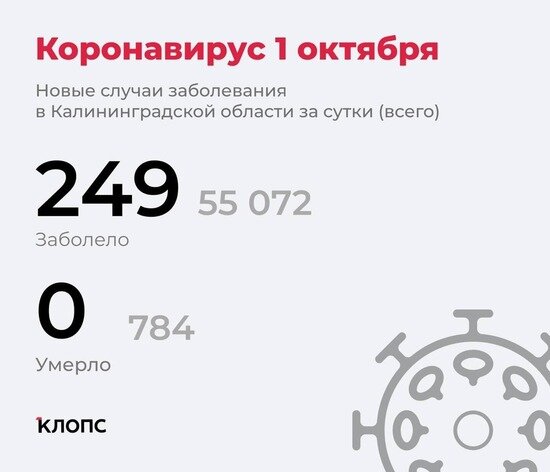Калининградский оперштаб рассказал подробности о ситуации с коронавирусом - Новости Калининграда