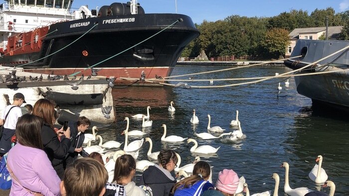 Креативная школьная жизнь вместе с «Профи-Тур» - Новости Калининграда