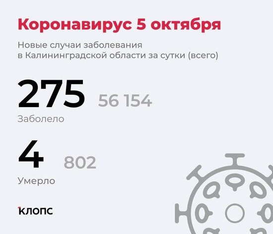 Калининградский оперштаб рассказал подробности о ситуации с коронавирусом - Новости Калининграда