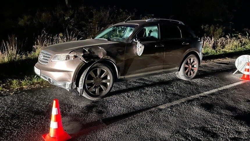 Под Правдинском Infiniti насмерть сбила переходившего дорогу пенсионера - Новости Калининграда | Фото: ГИБДД региона