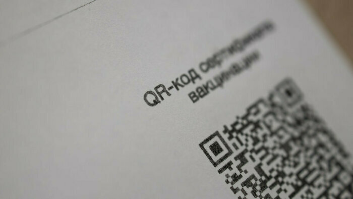 Наказание за поддельный QR-код и ДТП с маршруткой: что случилось в Калининграде и области за выходные - Новости Калининграда | Фото: Александр Подгорчук / «Клопс»