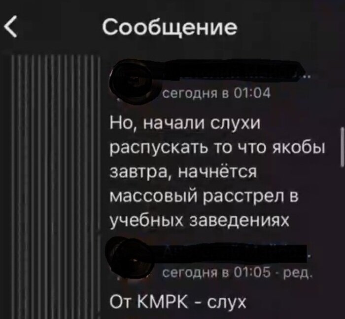 Скриншот страницы родительского чата | Фото читатели «Клопс»