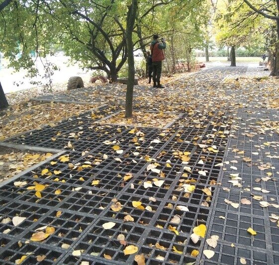 В Калининграде опробовали новый способ обустройства парковок во дворах (фото) - Новости Калининграда