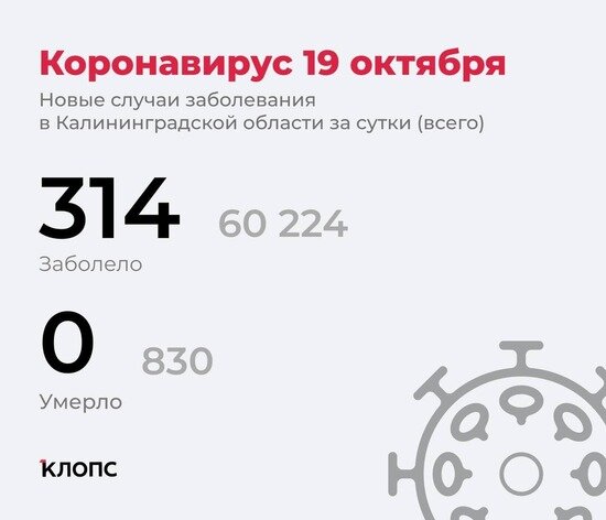 Оперштаб Калининградской области рассказал подробности о ситуации с COVID-19 - Новости Калининграда