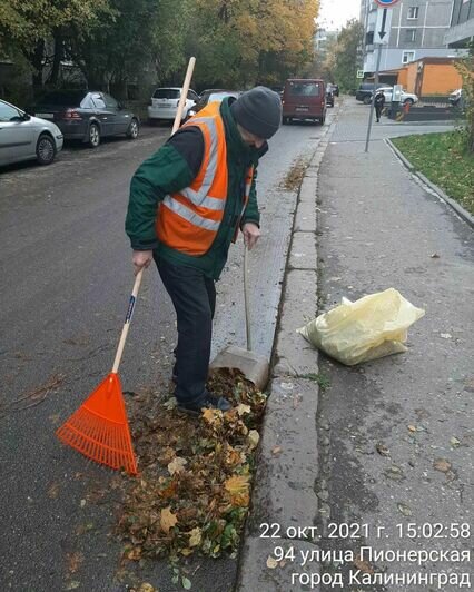 «Неприятный итог — 30 подтопленных улиц»: Дятлова — о последствиях штормового ветра и ливня в Калининграде - Новости Калининграда | Фото: Instagram / Елена Дятлова
