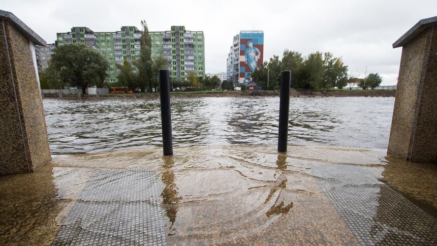Нагнал воды в Преголю и продолжает ломать деревья: шторм «Игнатц» набирает обороты - Новости Калининграда | Фото: Александр Подгорчук / Архив «Клопс»