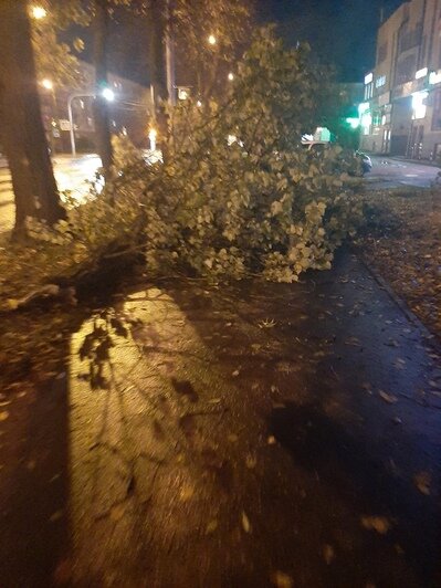 «Чудом никого не убило»: последствия шторма в Калининградской области (обновляется) - Новости Калининграда | Фото: очевидец