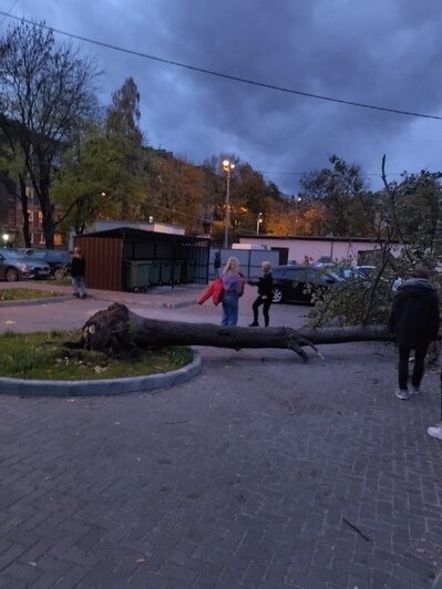 «Чудом никого не убило»: последствия шторма в Калининградской области (обновляется) - Новости Калининграда | Фото: очевидец