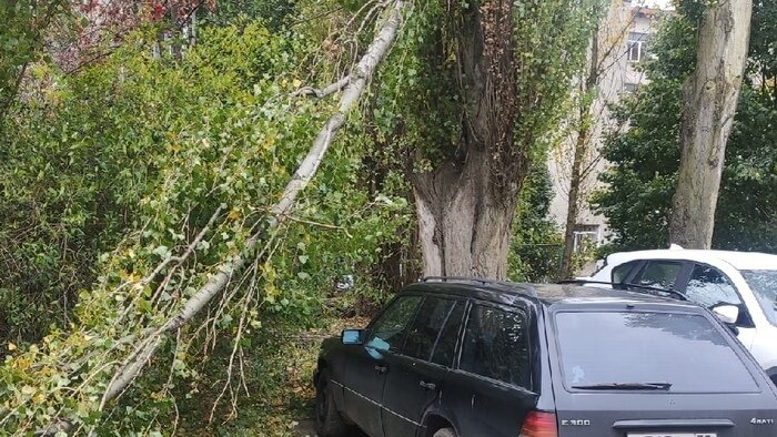 «Чудом никого не убило»: последствия шторма в Калининградской области (обновляется) - Новости Калининграда | Фото читателя