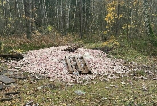 Потоп в центре Калининграда и ДТП со скорой: что случилось в выходные - Новости Калининграда | Фото очевидца