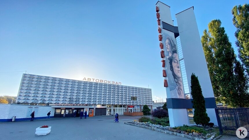 В Калининграде возобновили продажу льготных билетов на межгород для студентов и школьников - Новости Калининграда | Фото: Александр Подгорчук / Архив «Клопс»