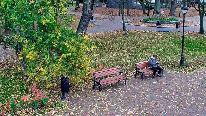 В Калининграде камеры «Безопасного города» появились в сквере на Киевской  - Новости Калининграда | Фото: пресс-служба правительства Калининградской области