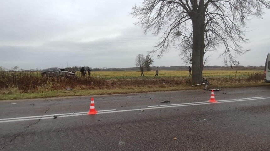 В Правдинском районе автомобиль врезался в дерево, водитель скончался на месте - Новости Калининграда | Фото: ГИБДД региона