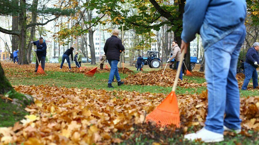 В Калининграде отменили ежегодный осенний субботник - Новости Калининграда | Фото: архив «Клопс»