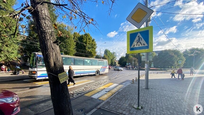 В Калининграде изменилось расписание автобусного маршрута №12 - Новости Калининграда | Фото: Александр Подгорчук / Архив «Клопс»