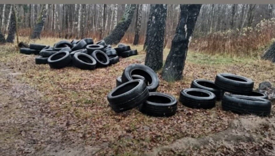 В лесу рядом с Чкаловском нашли свалку покрышек - Новости Калининграда | Фото: из личного архива героя публикации 