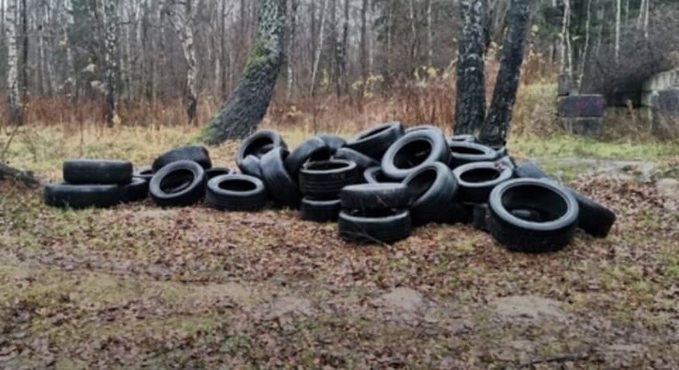 В лесу рядом с Чкаловском нашли свалку покрышек - Новости Калининграда | Фото: из личного архива героя публикации 