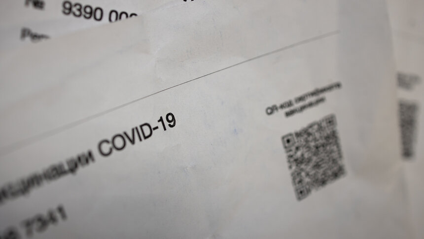 Володин изучит комментарии россиян по законопроектам о QR-кодах - Новости Калининграда | Фото: Александр Подгорчук / Архив «Клопс»