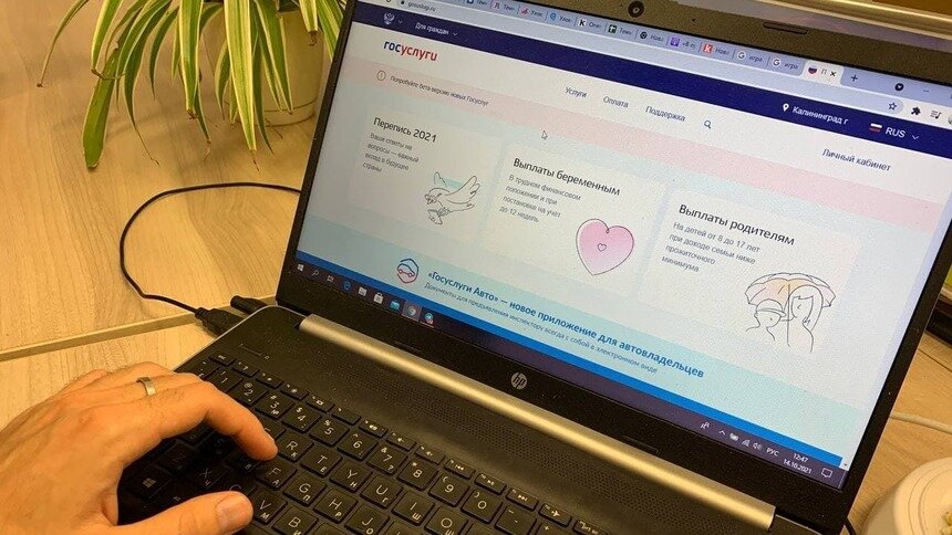 Россияне смогут авторизоваться на Авто.Ру, ЦИАН и hh.ru через госуслуги - Новости Калининграда | Фото: Александр Подгорчук / Архив «Клопс»