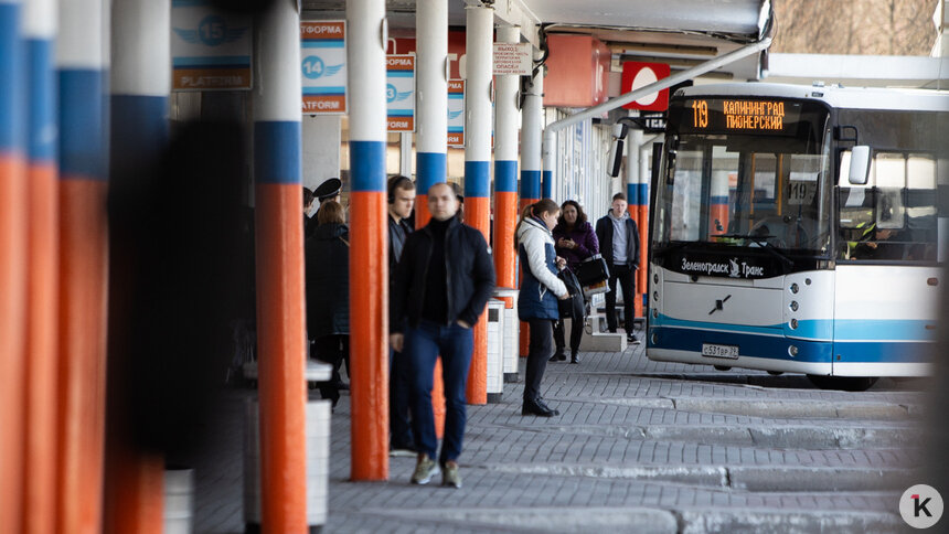 В Калининградской области отказываются давать скидки по студенческим билетам - Новости Калининграда | Фото: Александр Подгорчук / Архив «Клопс»