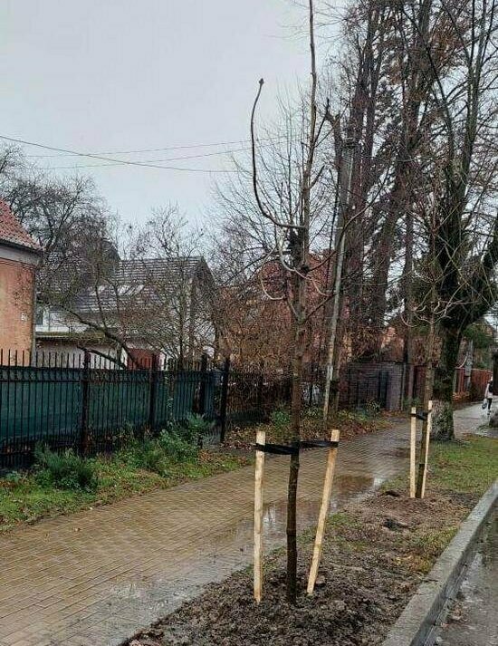 12 событий: что случилось в Калининградской области и мире в выходные - Новости Калининграда | Фото: пресс-служба администрации Зеленоградского городского округа