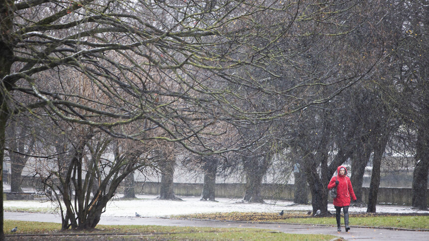 Туманно и слякотно: калининградский синоптик рассказал, сколько продержится потепление  - Новости Калининграда | Фото: Александр Подгорчук / Архив «Клопс»