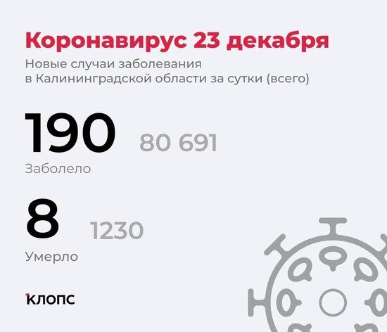 Подтвердилось ещё 8 смертей: подробности о ситуации с COVID-19 в Калининградской области - Новости Калининграда