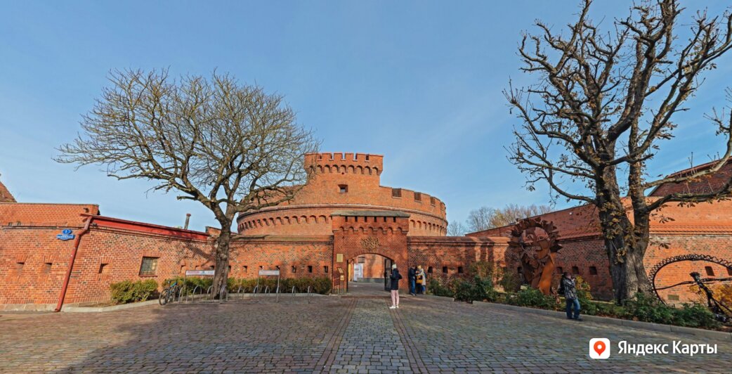 Панорамомобиль «Яндекса» исколесил Калининградскую область и сделал около 340 тысяч снимков - Новости Калининграда | Фото: пресс-служба «Яндекса»