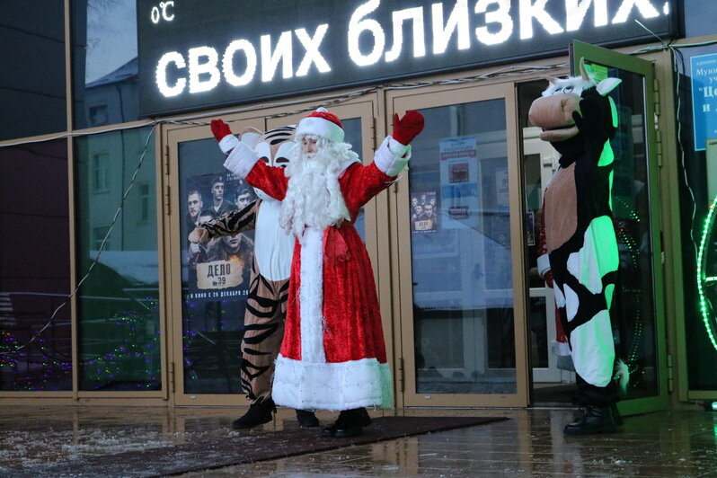 В Советске Деды Морозы устроили новогодний флешмоб - Новости Калининграда