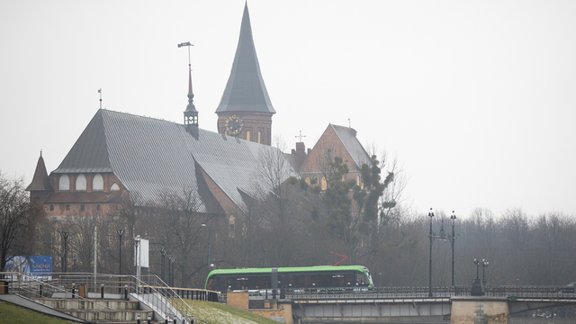 11 событий: что случилось в выходные в Калининграде и за его пределами