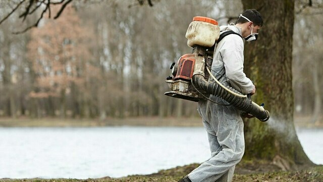 Как защититься от клеща: 6 советов калининградского биолога, который пять лет изучает кровососов