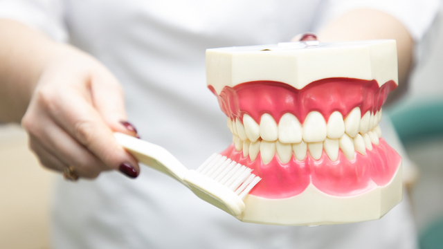 «Повышать цены больше не планируем»: как обстоят дела у калининградских стоматологических клиник  