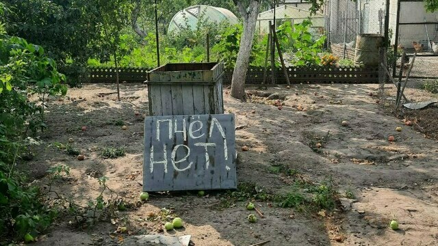 «Содрать денег с пенсионера важнее человечности»: хозяева пчёл, искусавших калининградца, рассказали о случившемся