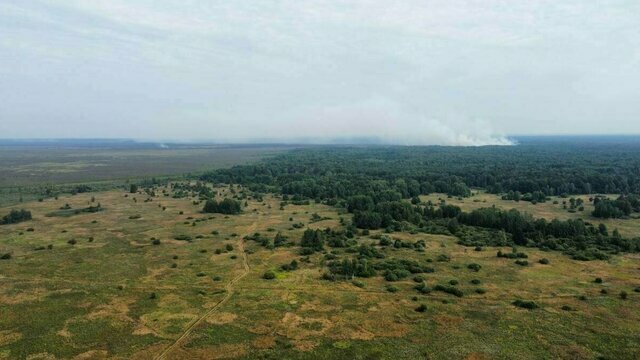 В Калининградской области потушили горевший на площади в 330 га торфяник