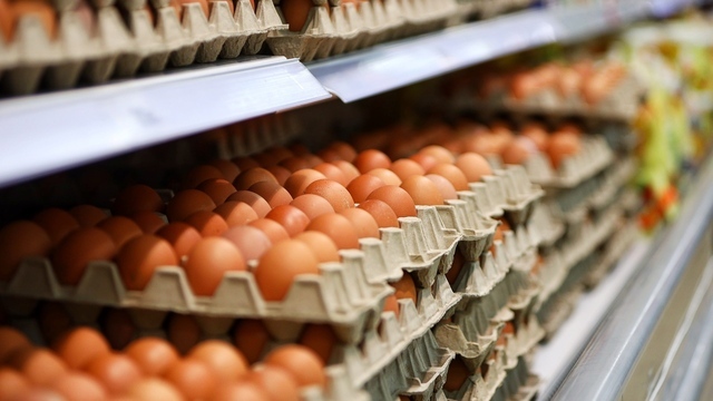 Диетолог рассказал, как не заразиться сальмонеллёзом от яиц